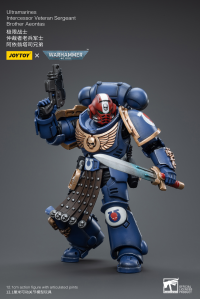 Ultramarines Intercessor Veteran Sergeant Brother Aeontas 7