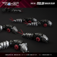 RMZ-005 Molga Guylos Color 5