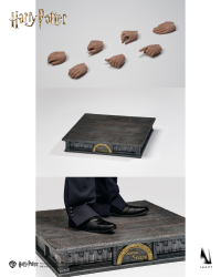 Harry Potter and the Half-Blood Prince - Severus Snape 1/6 Collectible Figure 22