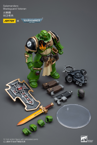 Salamanders Bladeguard Veteran 4