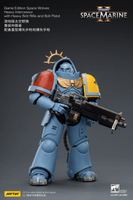 Game Edition Space Wolves Heavy Intercessor with Heavy Bolt Rifle and Bolt Pistol 14