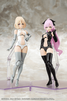 B1R-L CHASSIS KIT SKIN COLOR B 6
