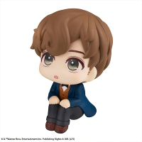 Lookup Fantastic Beasts Newt Scamander 11