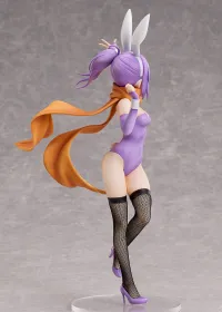 FREEing Satoko Kusagakure: Bunny Ver. - A Ninja and an Assassin Under One Roof - photo 6
