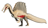 Spinosaurus Puzzle , Megahouse Kaitai Puzzle 2
