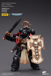 Primaris Space Marines Black Templars Bladeguard Veteran 8