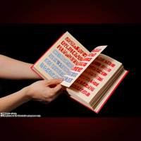 Red Spellbook Konjiki no Zatch Bell, Bandai Spirits Proplica 13