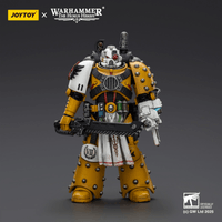 Imperial Fists Legion Apothecary 2