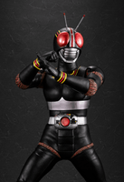 Ultimate Article Kamen Rider BLACK 1