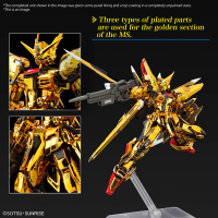 RG 1/144 #41 AKATSUKI GUNDAM OOWASHI unit 8