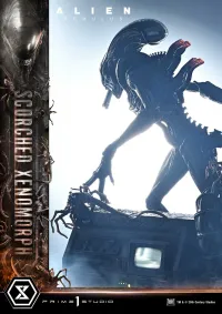 Prime 1 Studio Museum Masterline XL Alien: Romulus Scorched Xenomorph Deluxe Bonus Version - Alien (Movie Franchise) - photo 48