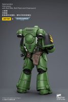 Salamanders Intercessor with Bolt Rifle, Bolt Pistol and Chainsword 19