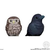 BANDAI Tenori Friends 4 Birds  (Box/12), Bandai Shokugan Tenori Friends - Tenori Friends - photo 2