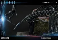 Prime 1 Studio Premium Masterline Aliens (Comics) Warrior Alien DX Bonus Version - Alien (Movie Franchise) - photo 25
