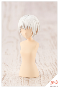 AFTER SCHOOL SHORT WIG TYPE: A [WHITE & CHOCOLATE BROWN] 4