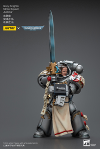 Grey Knights Strike Squad Justicar 7