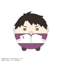 MAX LIMITED Haikyu!! FUWA KORORIN Msize 9  (ITEM H) - Haikyu!! - photo 1