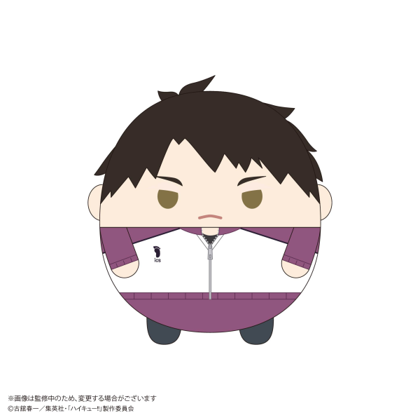 Haikyu!! FUWA KORORIN Msize 9 (ITEM H)