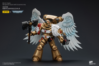 Blood Angels Sanguinary Guard with Encarmine Axe 6