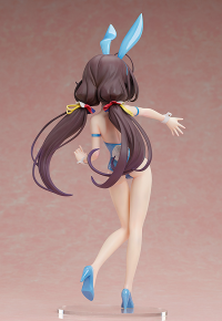 Ai Hinatsuru: Bare Leg Bunny Ver. 6