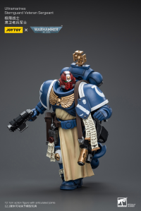 Ultramarines Sternguard Veteran Sergeant 3