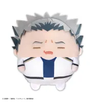 MAX LIMITED Haikyu!! FUWA KORORIN M SIZE SPECIAL (F) - Haikyu!! - photo 1