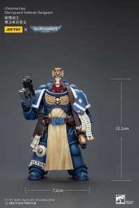 Ultramarines Sternguard Veteran Sergeant 6