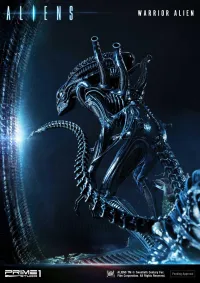 Prime 1 Studio Premium Masterline Aliens (Comics) Warrior Alien DX Bonus Version - Alien (Movie Franchise) - photo 110