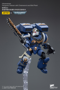 Ultramarines Vanguard Veteran with Chainsword and Bolt Pistol 2