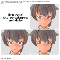 30MS OPTION FACE PARTS FACIAL EXPRESSION SET 6 [COLOR C] 1