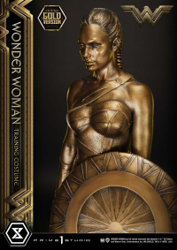 Museum Masterline Wonder Woman (Film) Wonder Woman Training Costume Gold Version 20