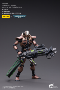 Necrons Szarekhan Dynasty lmmortal with Tesla Carbine [2PCS] 3