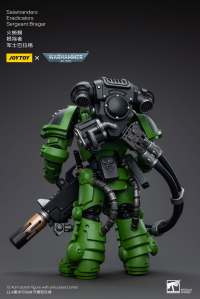 Salamanders Eradicators Sergeant Bragar 2