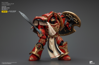Blood Angels Crimson Paladins Squad Crimson Paladin 3 4