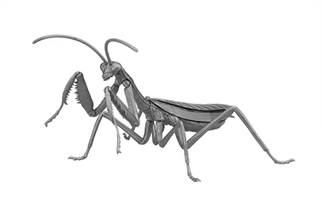 Fujimi [FI No.23 EX-4]  Biology Edition Big Mantis(Metallic silver) - Original Series