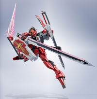 <SIDE MS>SWORD IMPULSE GUNDAM SPECⅡ "GUNDAM", TAMASHII NATIONS METAL ROBOT SPIRITS 4