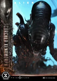 Prime 1 Studio Museum Masterline XL Alien: Romulus Scorched Xenomorph Deluxe Bonus Version - Alien (Movie Franchise) - photo 51