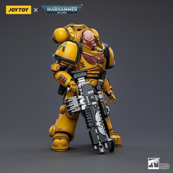Imperial Fists  Heavy Intercessor Rogfried Pertanal