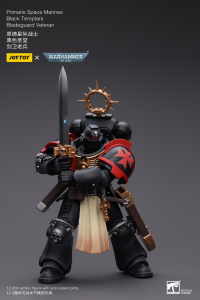 Primaris Space Marines Black Templars Bladeguard Veteran 3