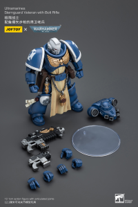 Ultramarines Sternguard Veteran with Bolt Rifle 6