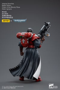 Adepta Sororitas Battle Sisters Order of the Bloody Rose Sister Ignacia 3
