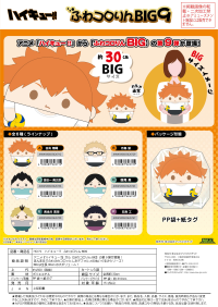 Haikyu!! FUWA KORORIN BIG 9  (ITEM D) 3