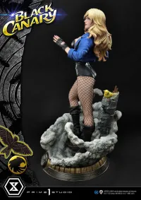 Prime 1 Studio Museum Masterline DC Comics Black Canary EX Version - DC Comics - photo 35