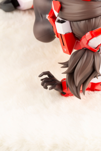 ASRA NINJA 10