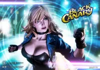 Prime 1 Studio Museum Masterline DC Comics Black Canary - DC Comics - photo 29