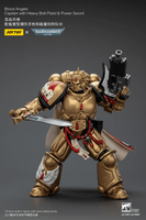 Blood Angels Captain with Heavy Bolt Pistol & Power Sword 23