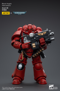 Blood Angels Intercessors 6