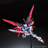 RG 1/144 #11 Destiny Gundam 12