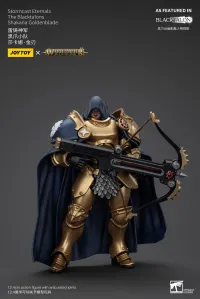 JOYTOY Stormcast Eternals The Blacktalons Shakana Goldenblade - Warhammer 40K - photo 6