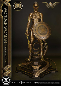 Museum Masterline Wonder Woman (Film) Wonder Woman Training Costume Gold Version 9